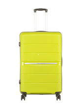 Load image into Gallery viewer, Teakwood Unisex Green Trolley Bag - Large