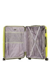 Load image into Gallery viewer, Teakwood Unisex Green Trolley Bag - SET OF THREE